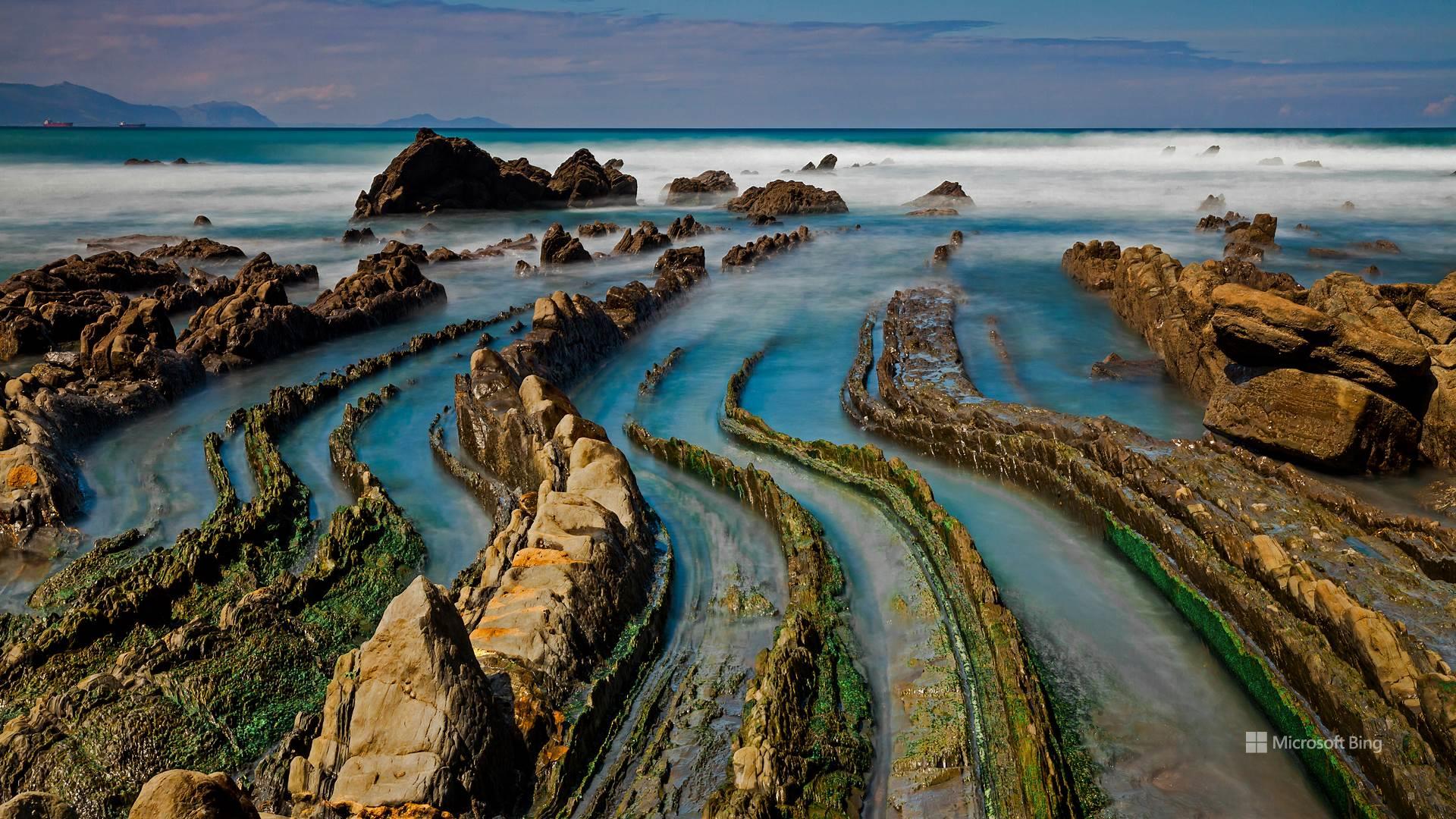 MS Parents Enterprise